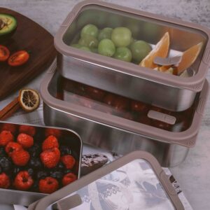 stainless steel food container (2)