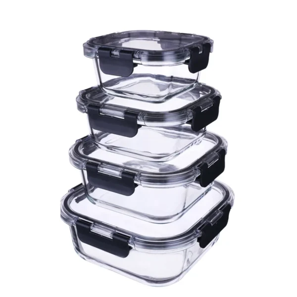 Clear Food Containers with Lids 7066 (10)