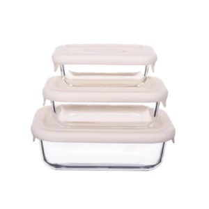glass food containers with silicone lid