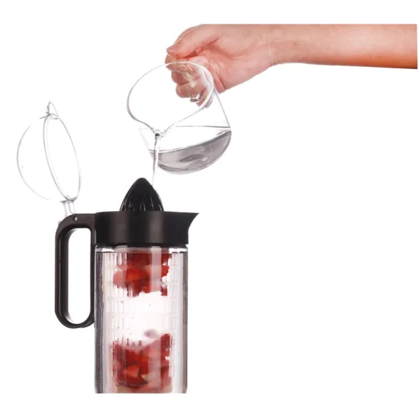 glass infusion pitcher (2)