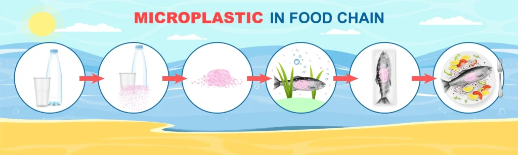 plastic in food chain