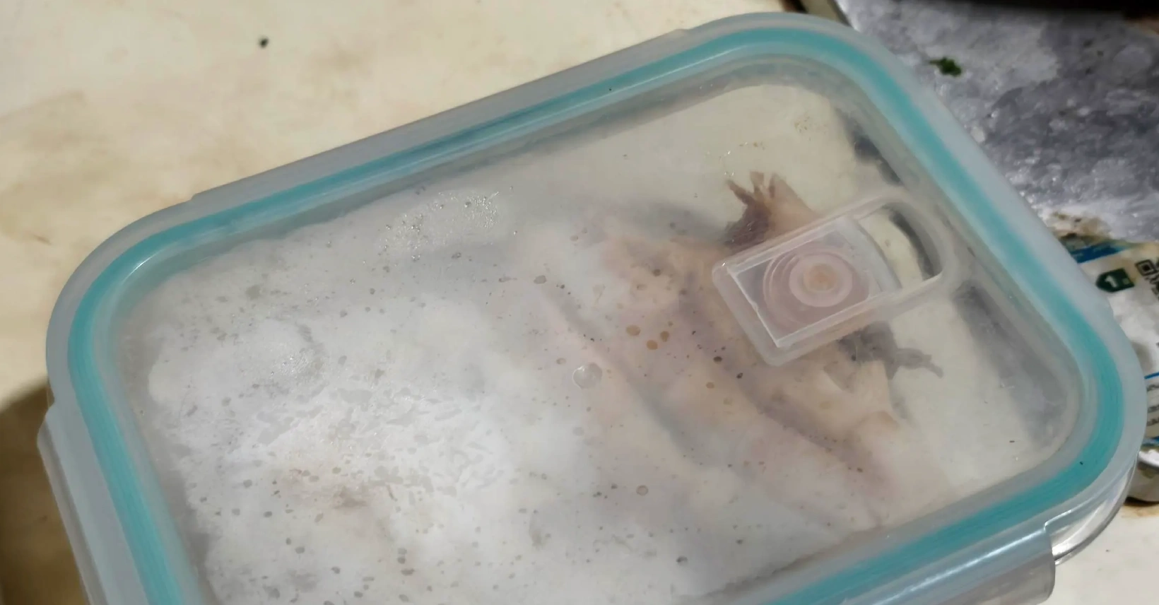 Salad Lunch Box with Air Valve