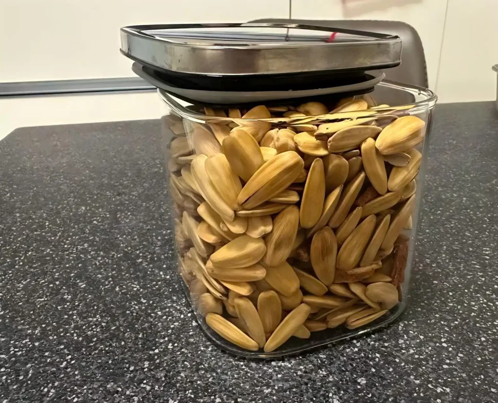 Borosilicate Glass Storage Jar